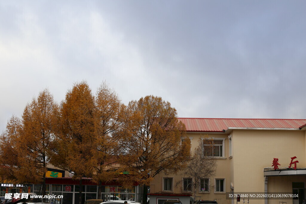 秋日小镇建筑与树木