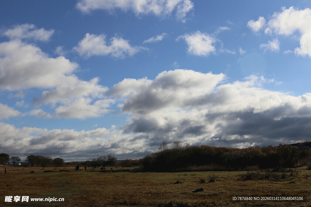 蓝天白云下的广袤原野