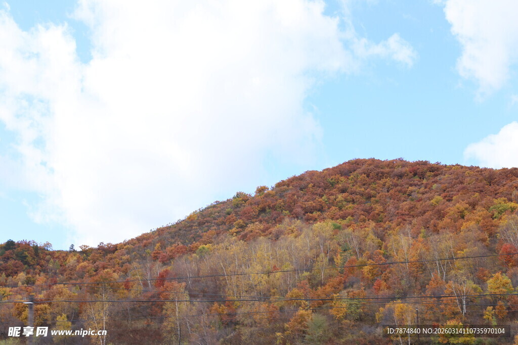 秋日山坡斑斓景致