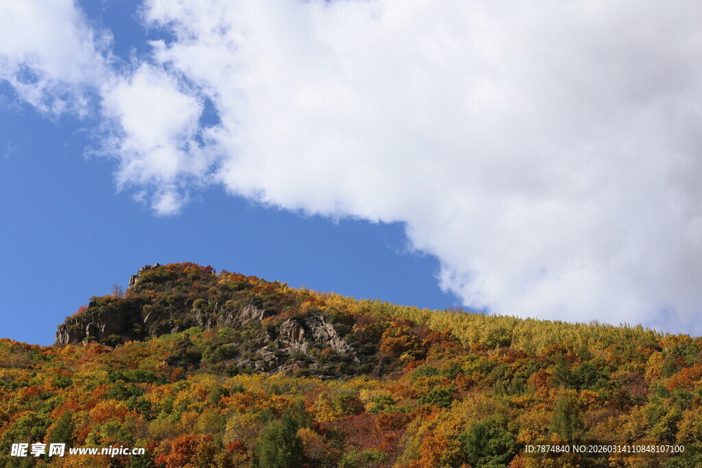 秋日山峦绚丽景致
