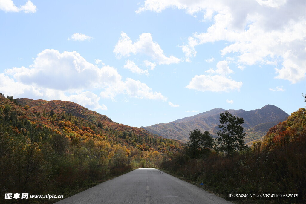 秋日山林间的蜿蜒公路