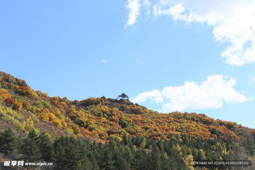 秋日斑斓山峦美景