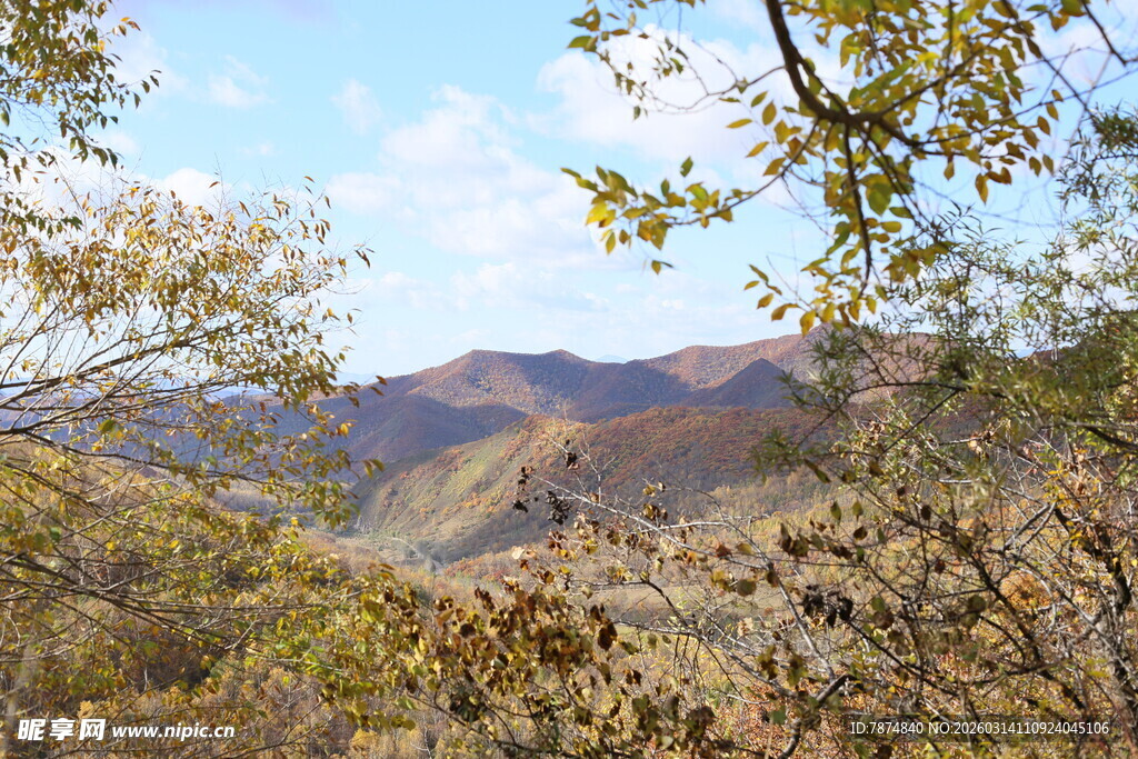 秋日山林间的远山景致