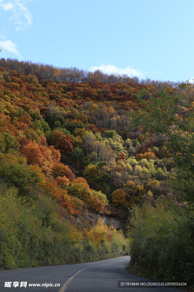 秋日斑斓公路美景