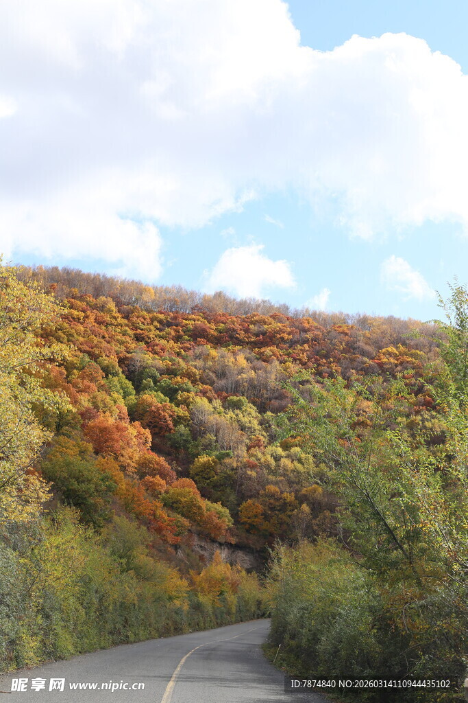 秋日山林蜿蜒公路美景