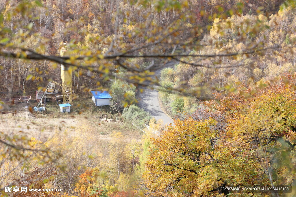 秋日山林中的蓝色物件