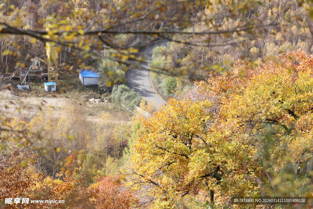 秋日山林间的斑斓景致