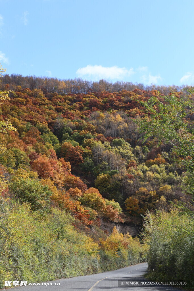 秋日斑斓山路风景