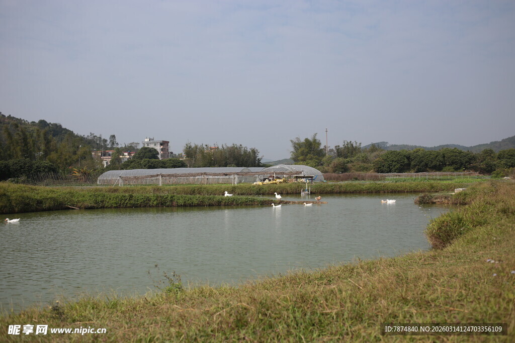 湖畔风光 自然静谧画卷