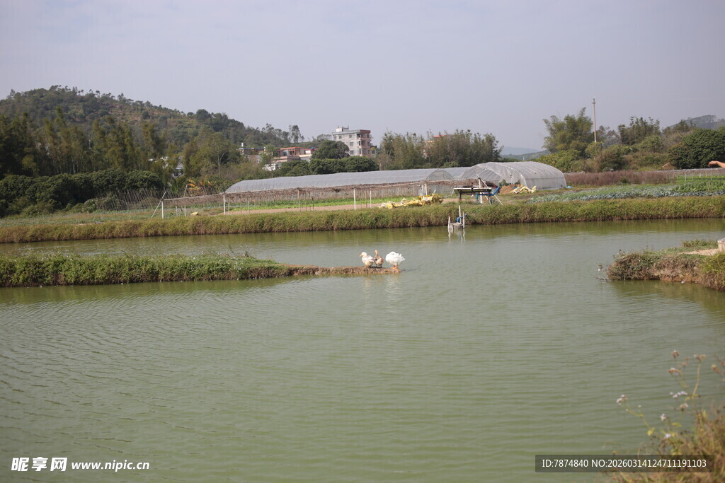 乡村湖畔田园风光美景