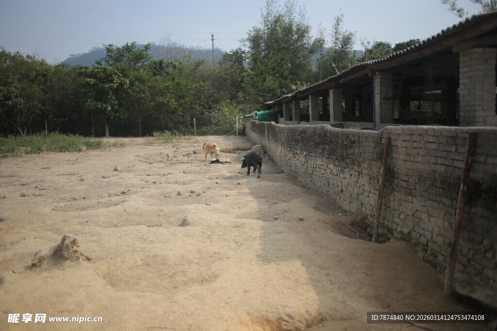 乡村养猪场