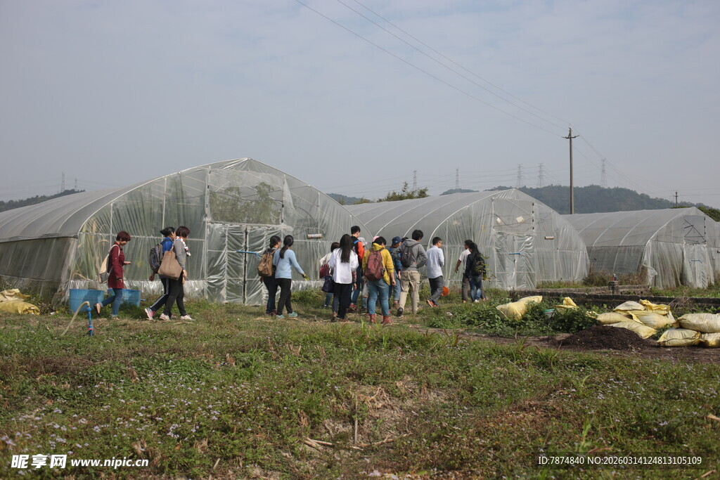 农田旁人群与大棚场景