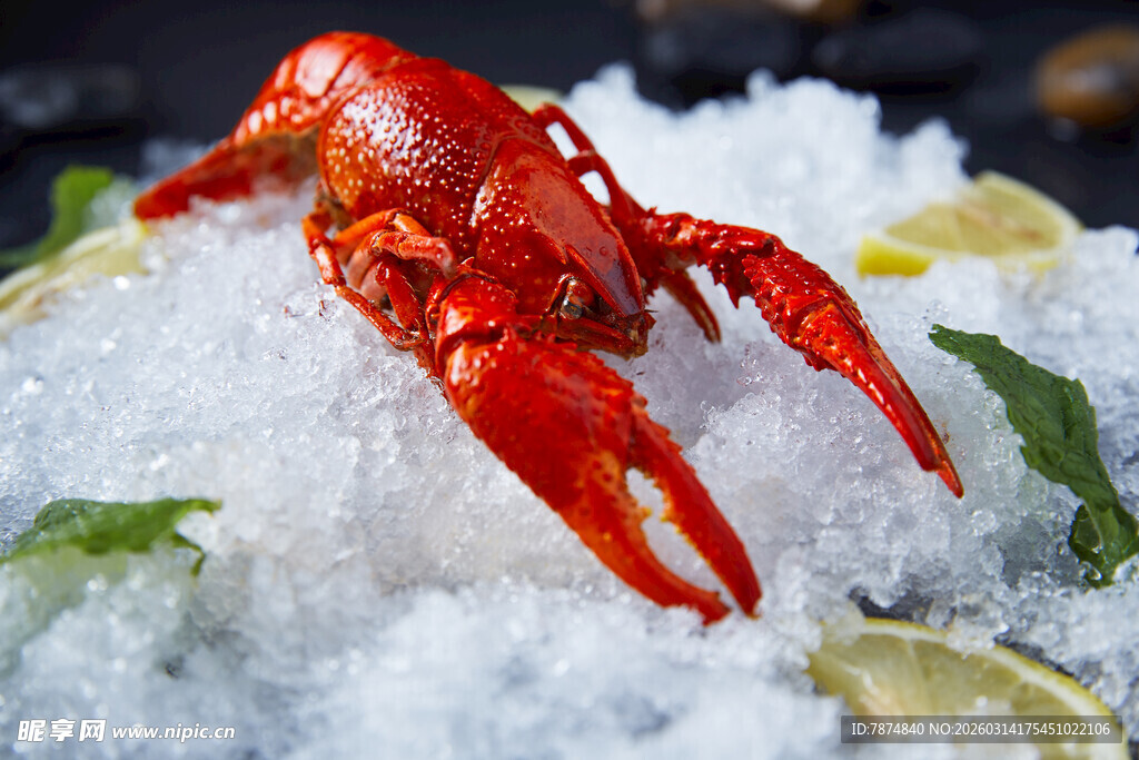 冰鲜小龙虾 清新诱人