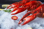 冰鲜小龙虾 色泽诱人