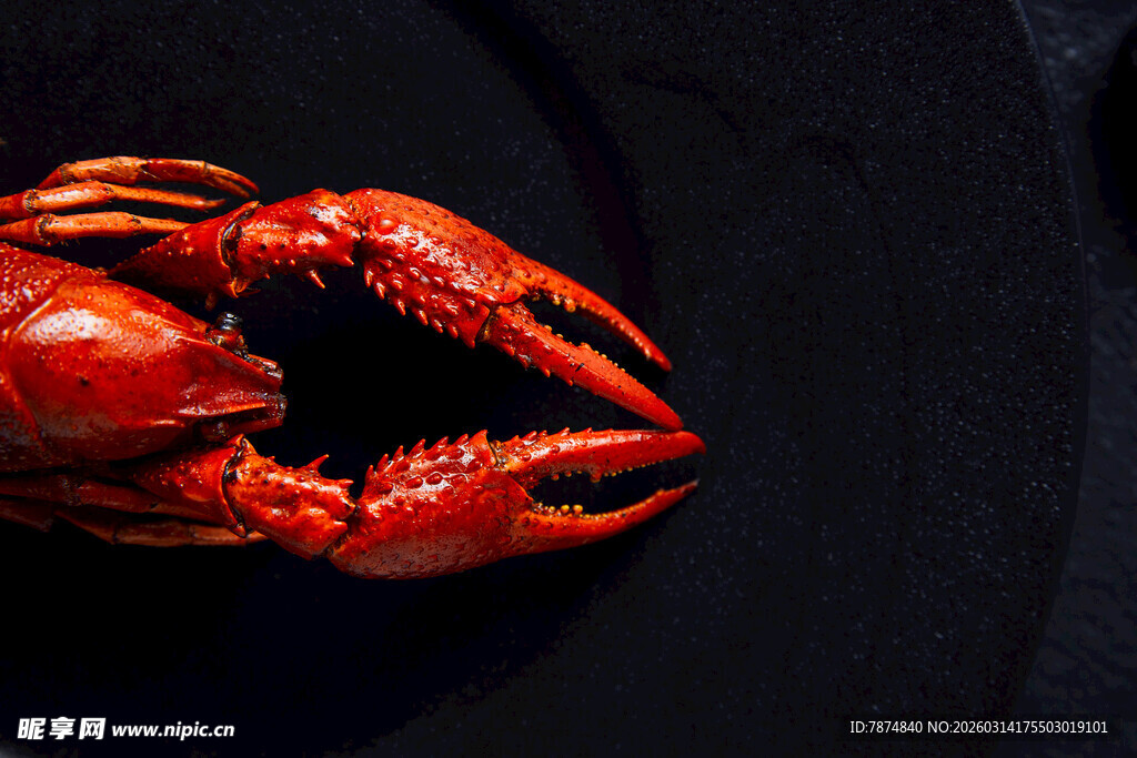 鲜红大龙虾特写