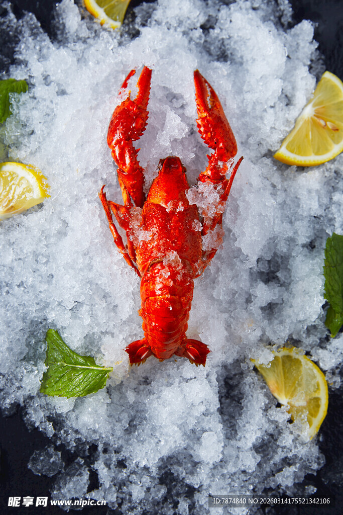 冰鲜大龙虾配柠檬香叶