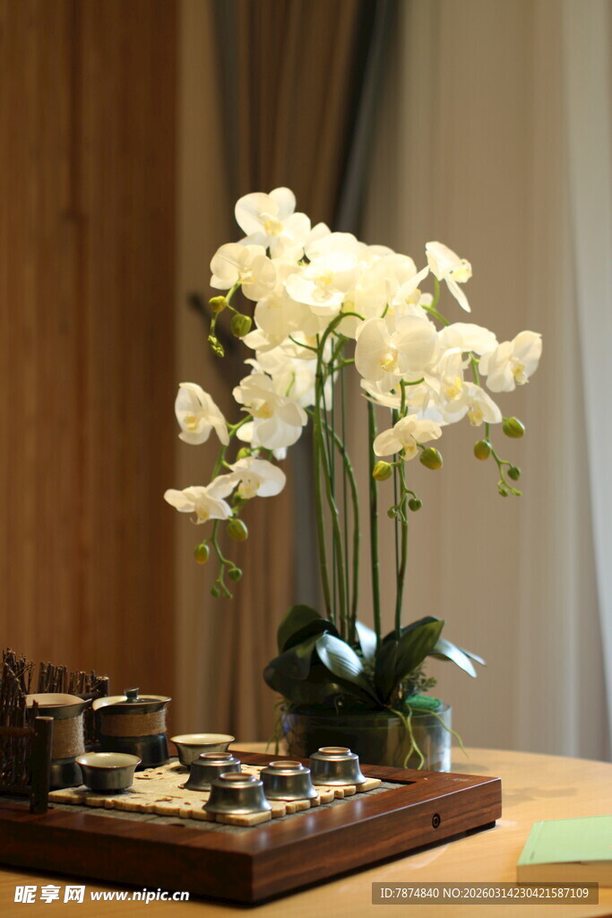 优雅白兰花摆放在木托盘上