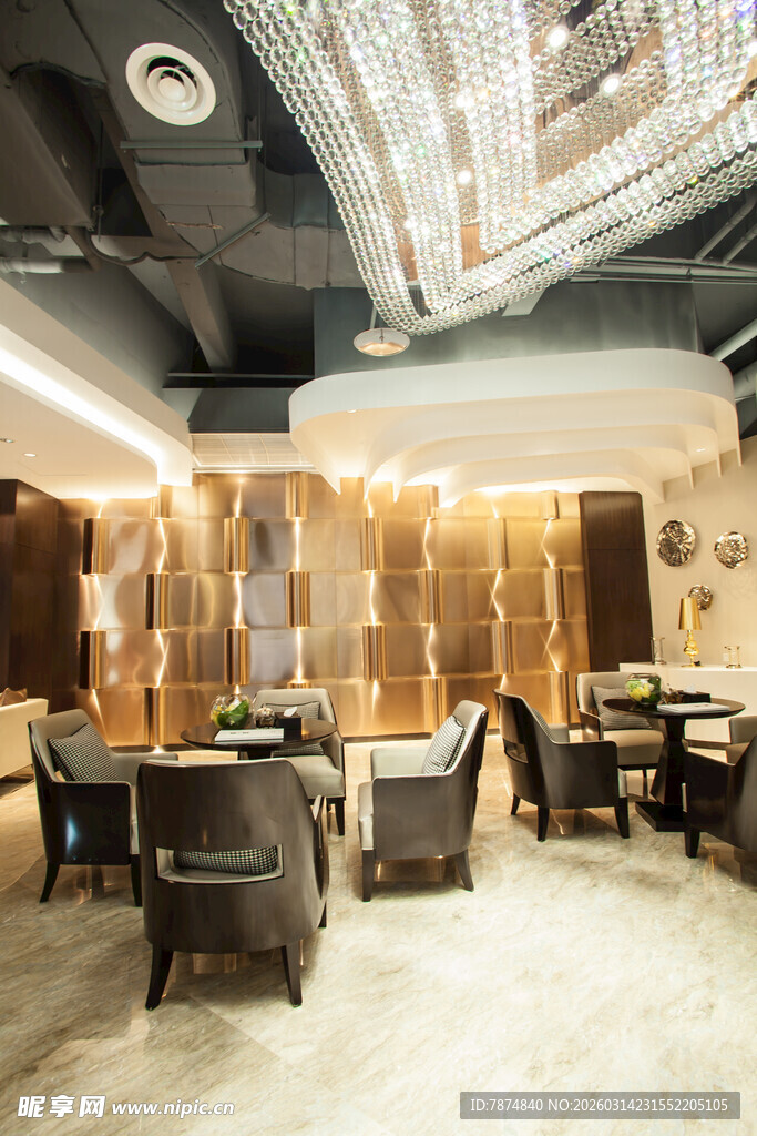 现代豪华室内休闲空间