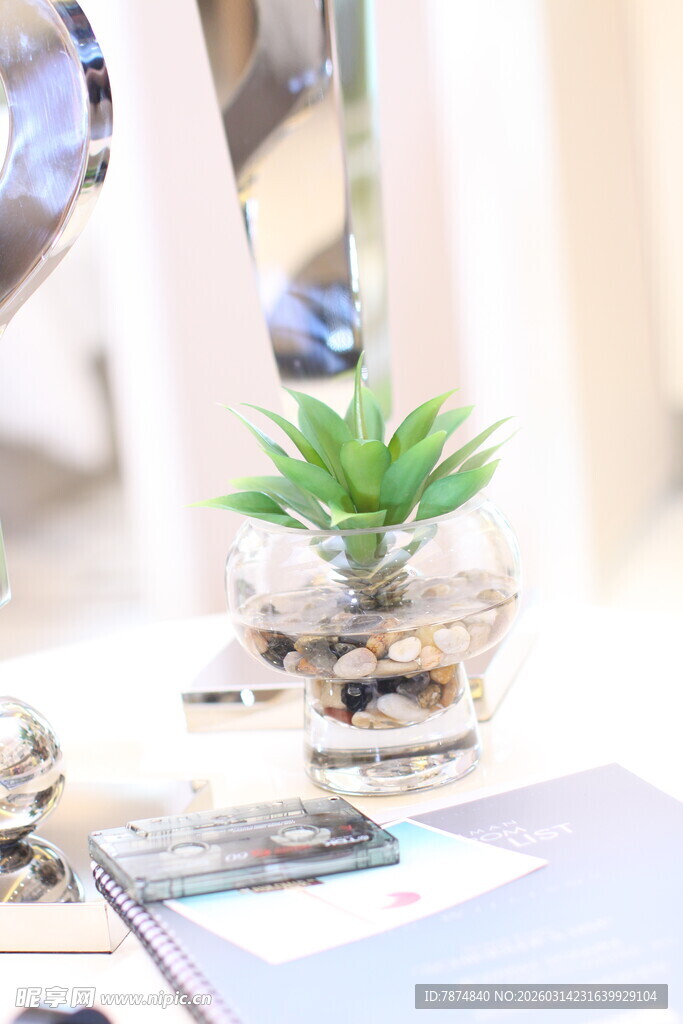 桌面绿植摆件 清新小景