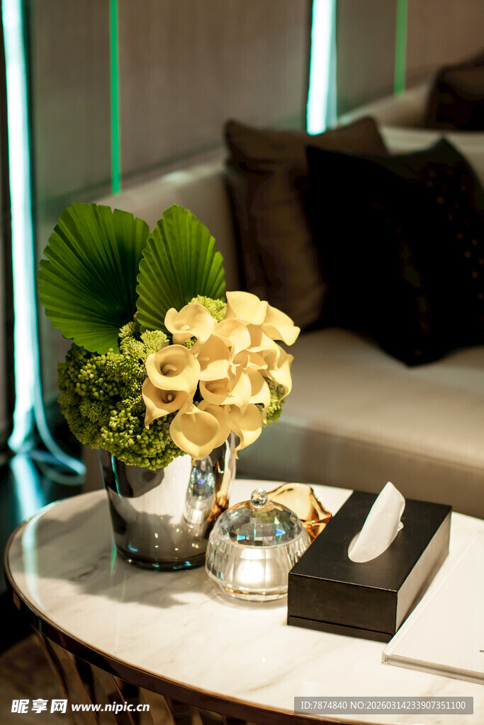 精致茶几上的绿植与摆件