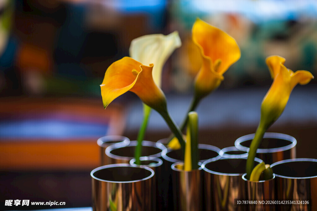 金属杯中的艳丽马蹄莲