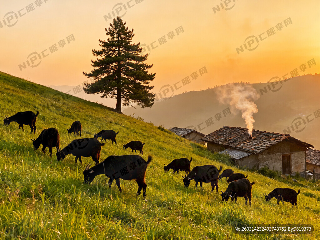 太阳准备下山了 炊烟袅袅。