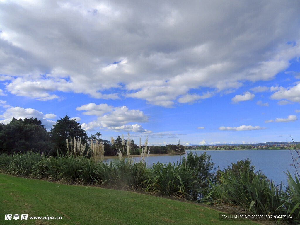 奥克兰海边风景