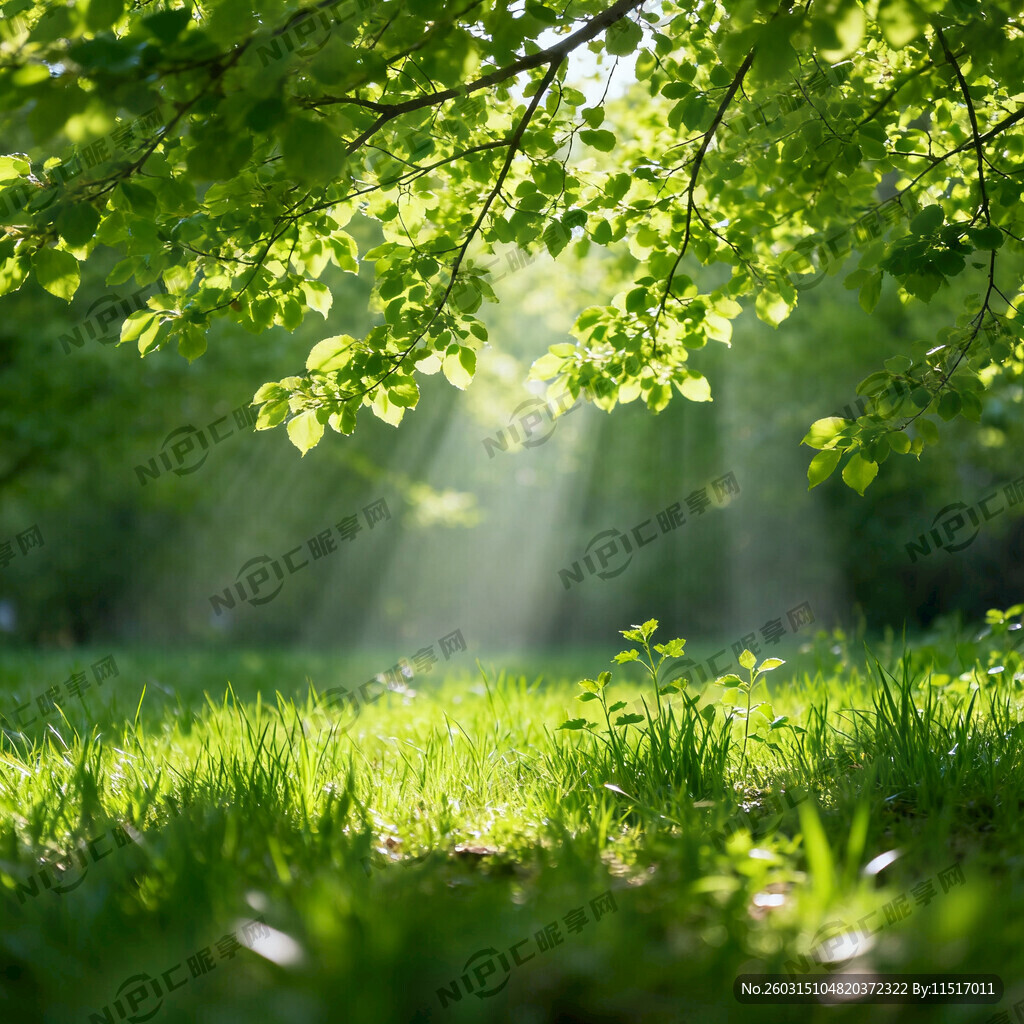 绿色背景 春天景色 树叶 小草