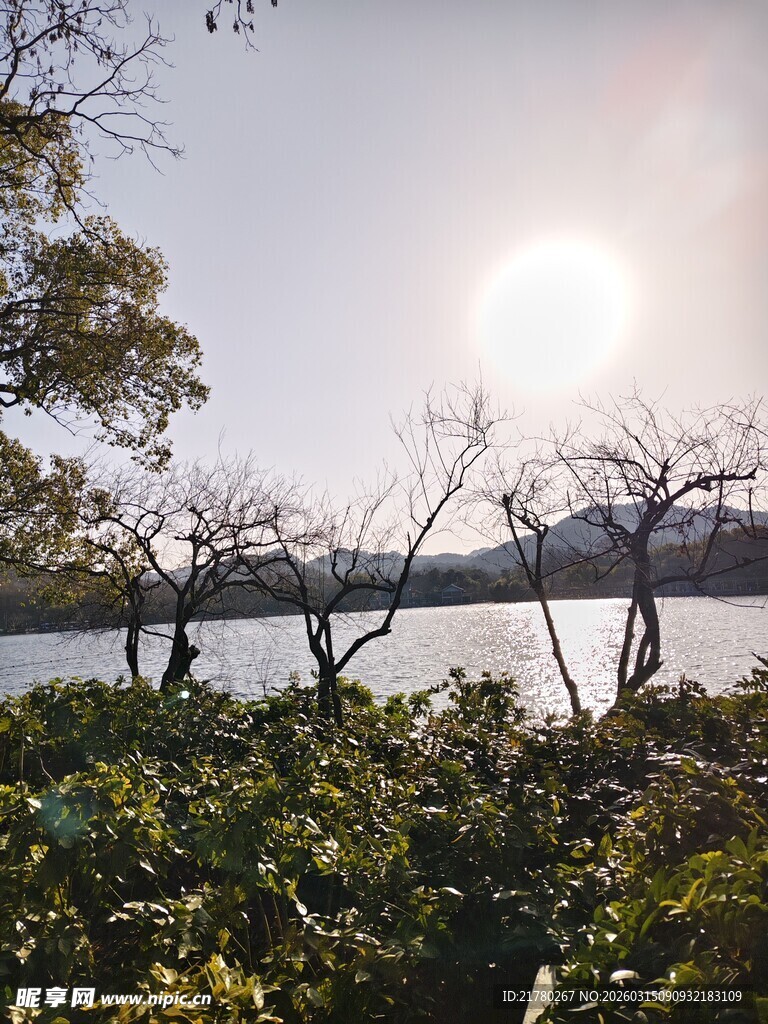 湖畔阳光映景