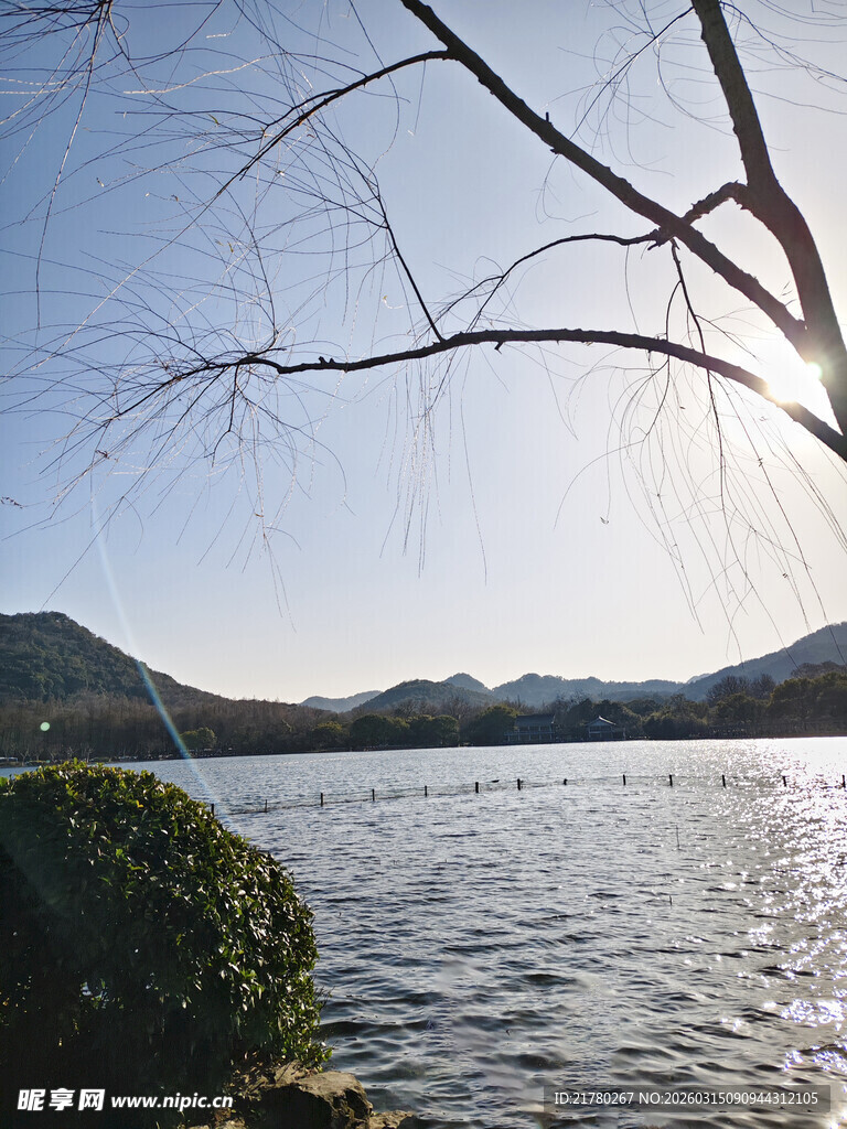 湖畔枯树与远山湖景