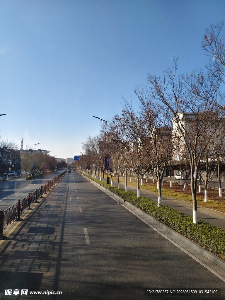 城市道路与绿化