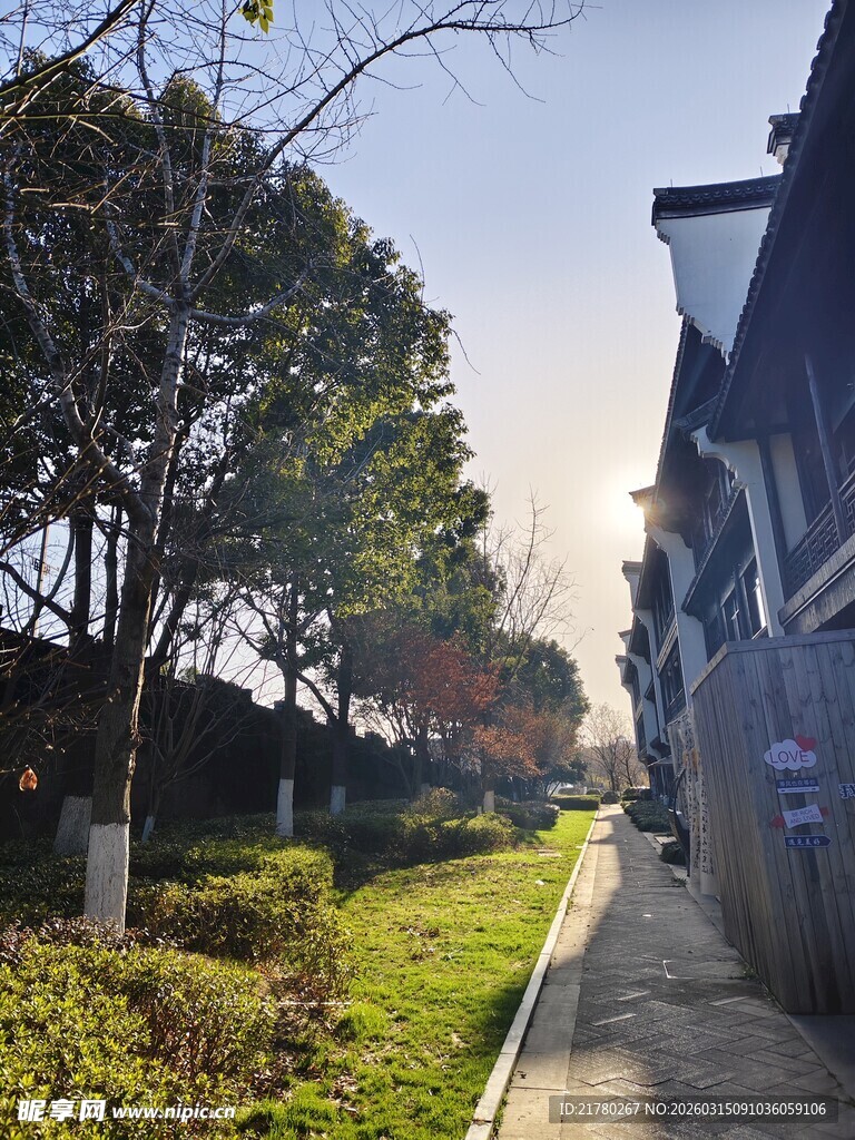 宁静街道 绿植景观