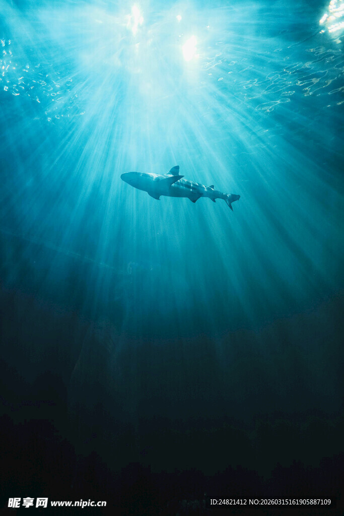 深海中的潜水者