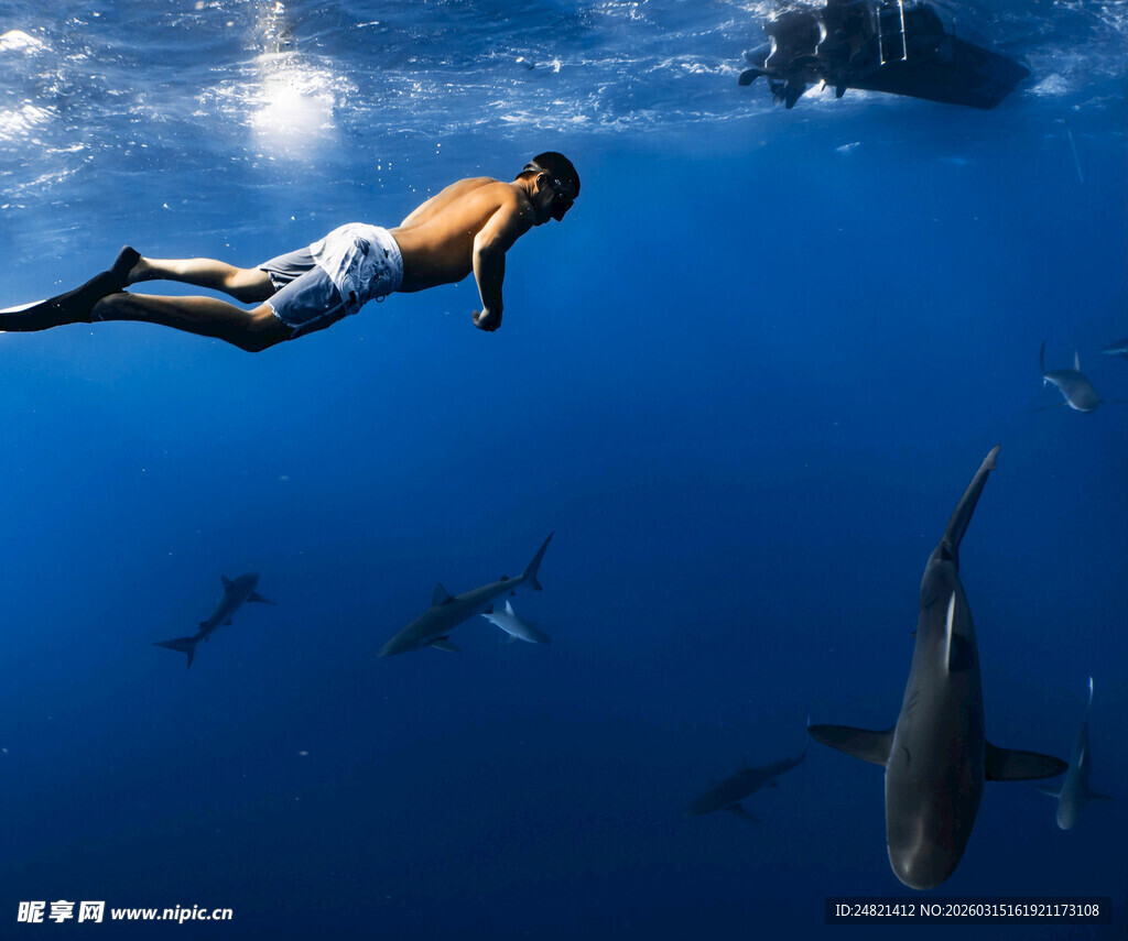 女子海中潜水遇鲨鱼