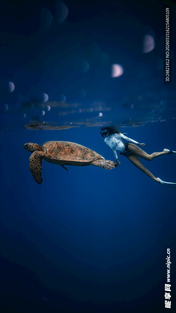 女子与海龟共游蓝色海洋