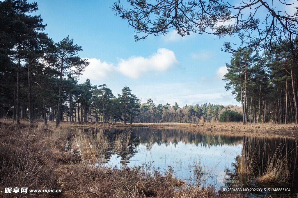 宁静湖畔的自然风光