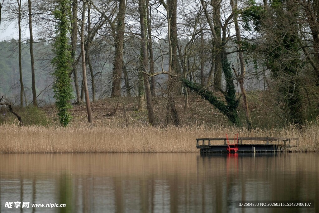 湖畔静谧小船与树林景致