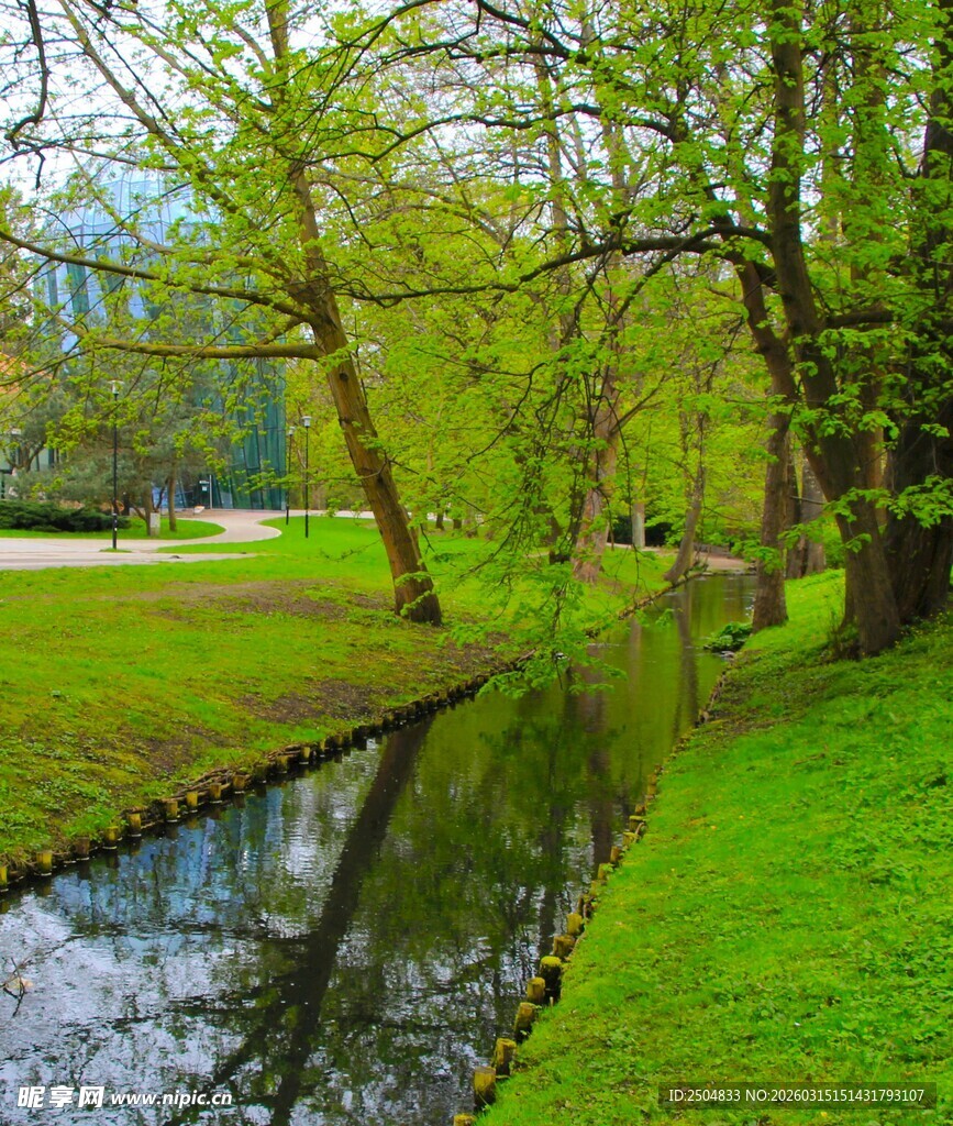 春日溪边绿意盎然的景致