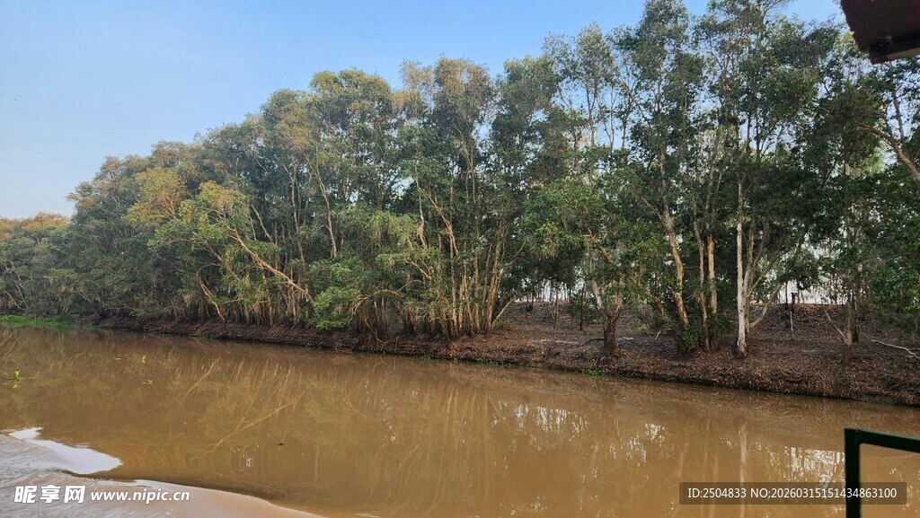 河边绿树环绕的浑水景观