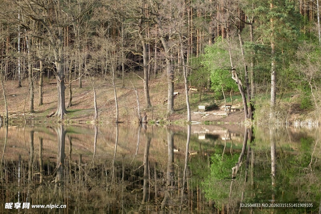 林间静湖倒影美景