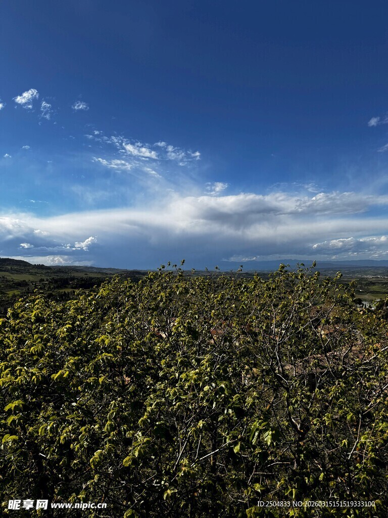 广袤绿野上的蓝天美景