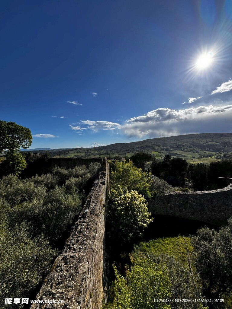 乡村石墙旁的明媚风光