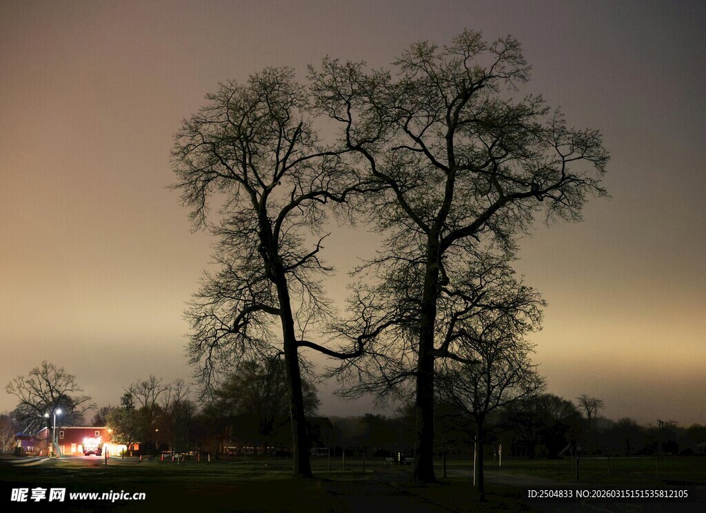 黄昏下的孤树与远方灯火