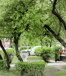 绿意盎然的城市街边景观