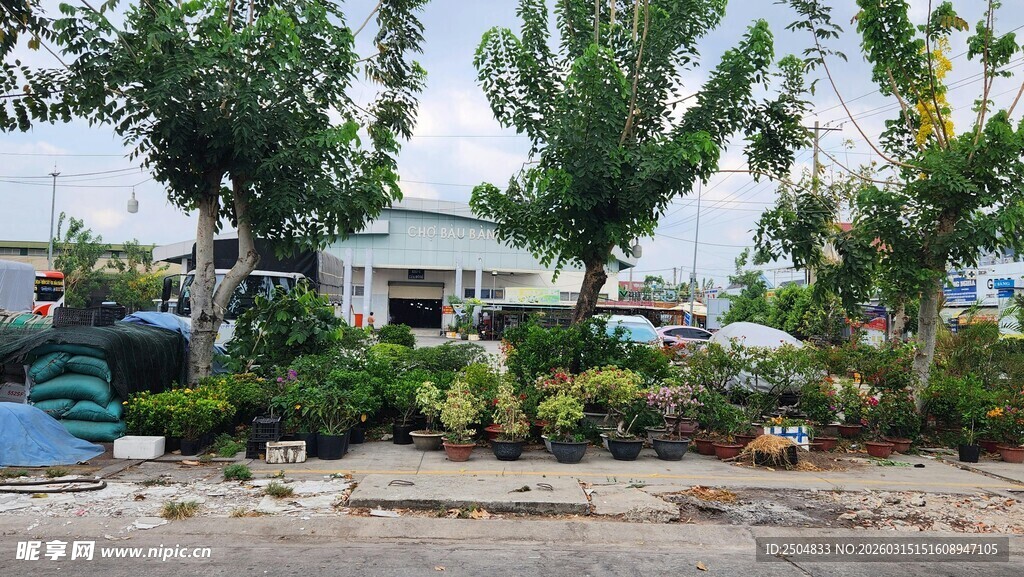 户外绿植环绕的清新景致