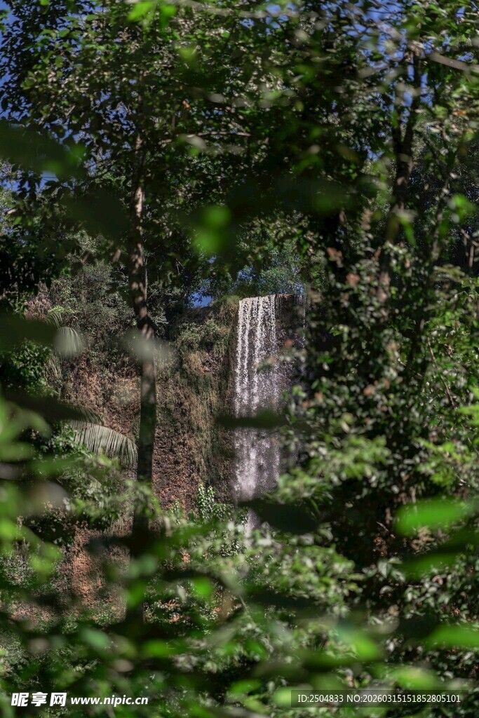 丛林中隐秘的建筑遗迹