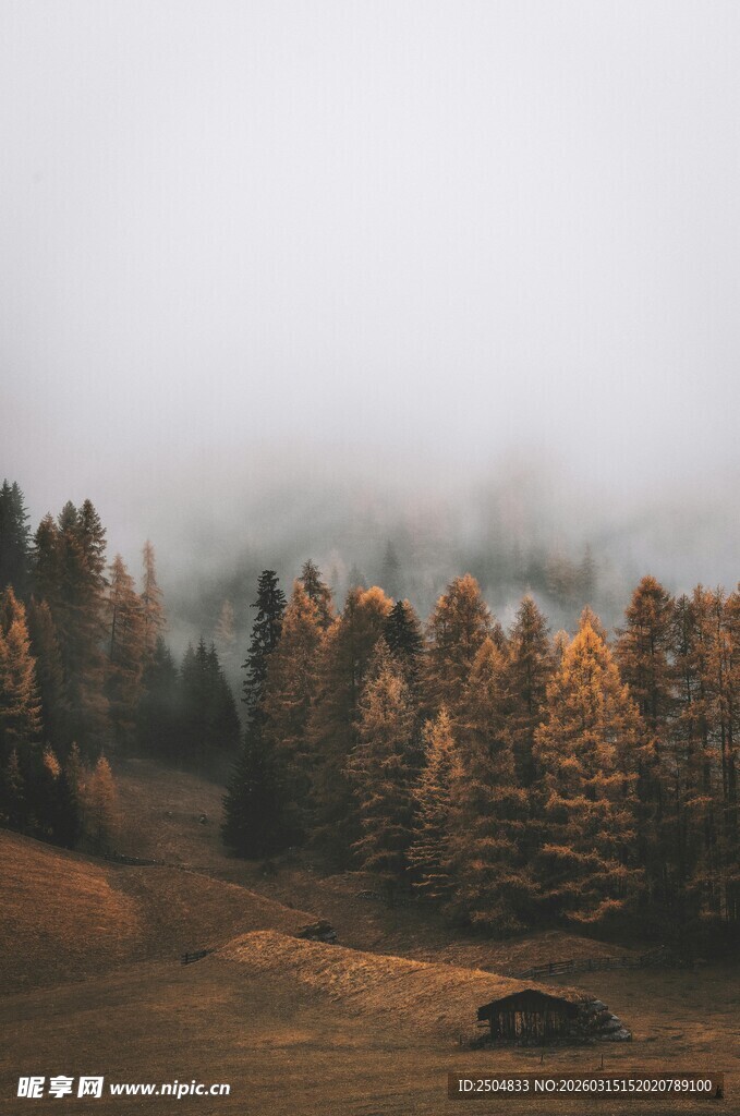 山间雾绕秋林景色迷人