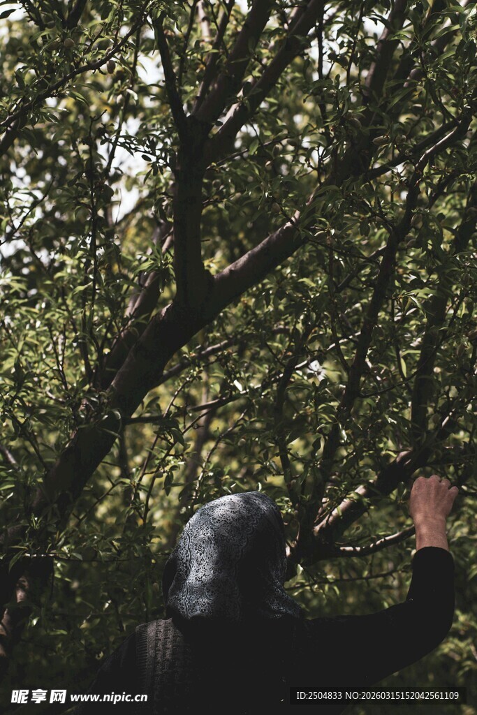 人于繁茂树下抬手探索
