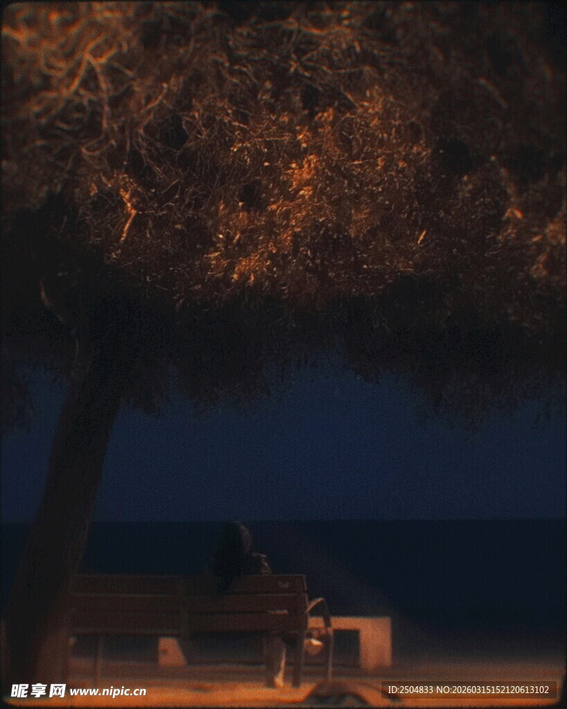 夜晚树下的静谧海滨场景