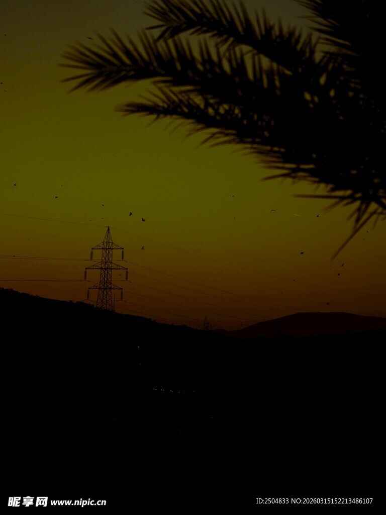 黄昏下的棕榈树与输电塔